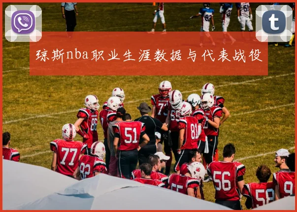 琼斯nba职业生涯数据与代表战役