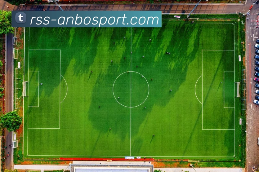 多媒体互动体验